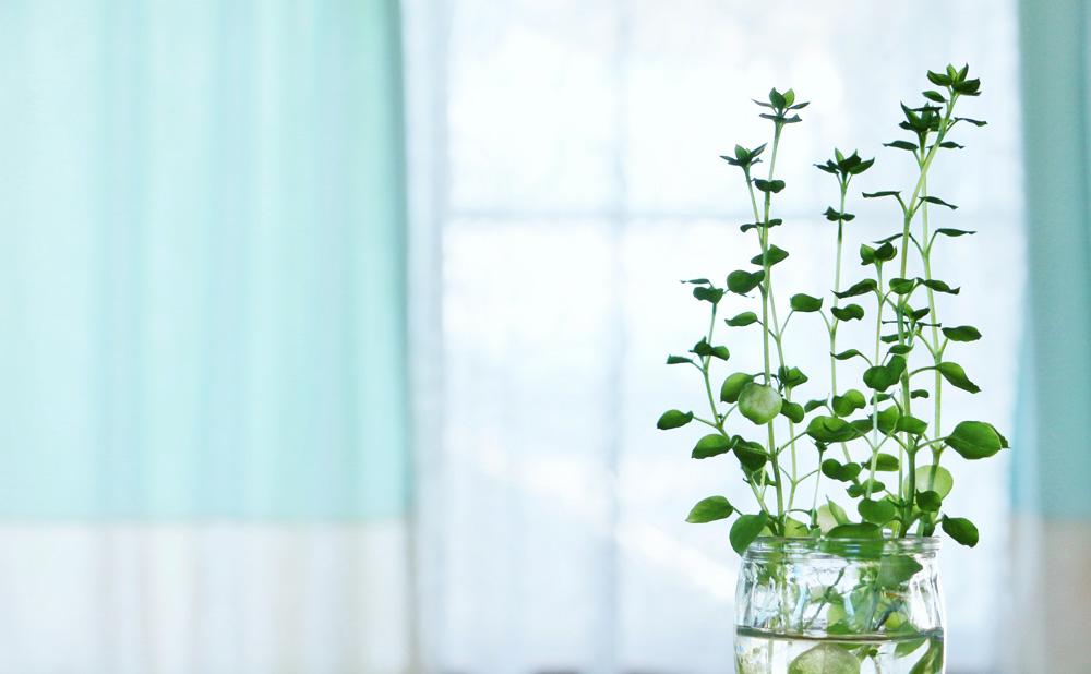 サロン内の様子