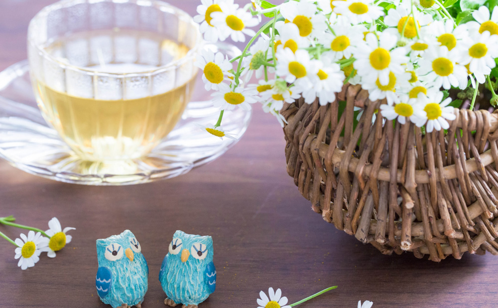 サロン内の様子